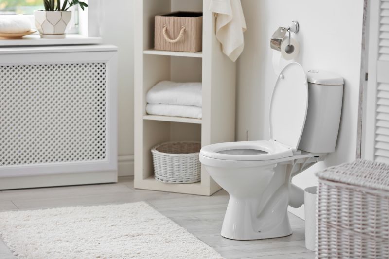 Backed Up Toilet Repair in Denver, CO